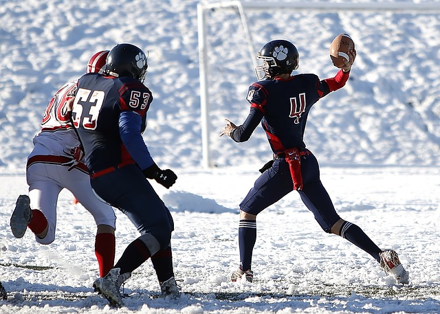上海海港 上海海港