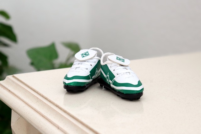 战与风险 战与风险