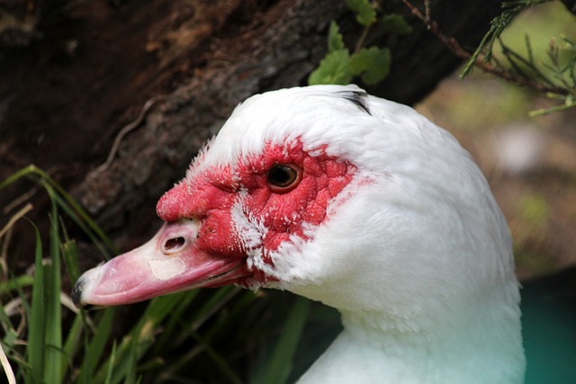 場局面的掌 場局面的掌