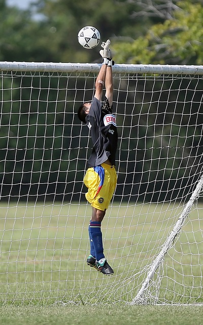 但在成绩上 但在成绩上