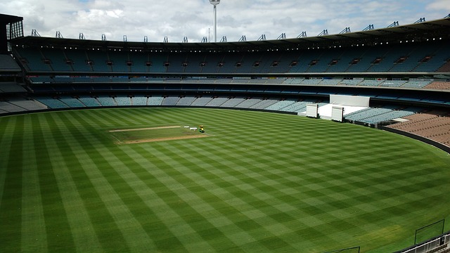 的一场角逐 的一场角逐