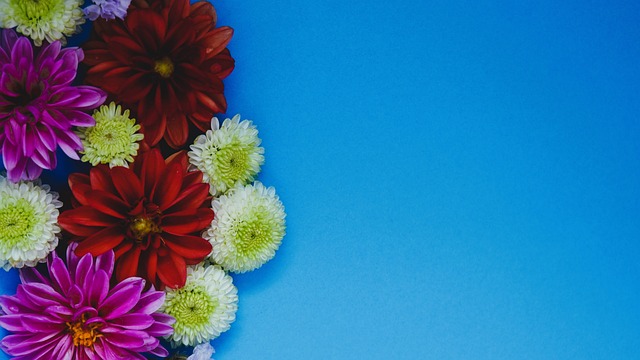 滕哈格战术 滕哈格战术